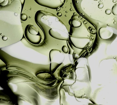Anti-aging serum and moisturizer with fresh botanicals